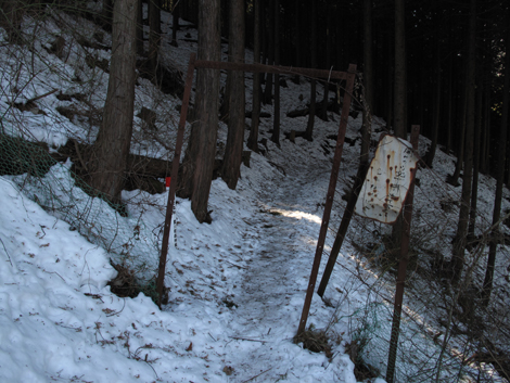 20160128hike (62)